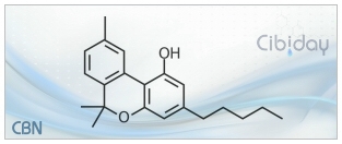 CBN Cannabinol Info